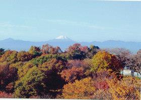 六道山公園展望台からの風景の写真
