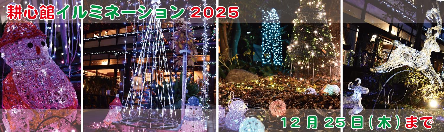 耕心館イルミネーション