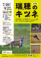 キツネ