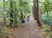 お伊勢山遊歩道