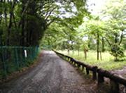 台坂遊歩道