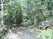 大日山遊歩道