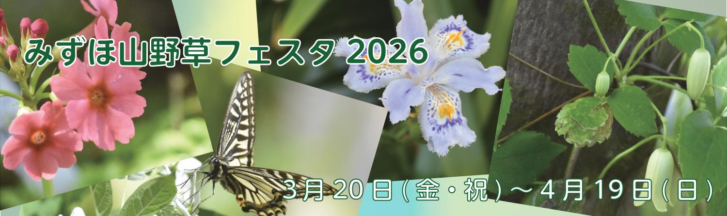 山野草フェスタ