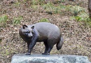 ほんどたぬきぞう