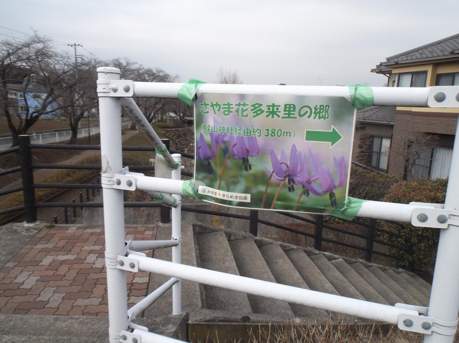 さやま かたくりのさとの案内看板