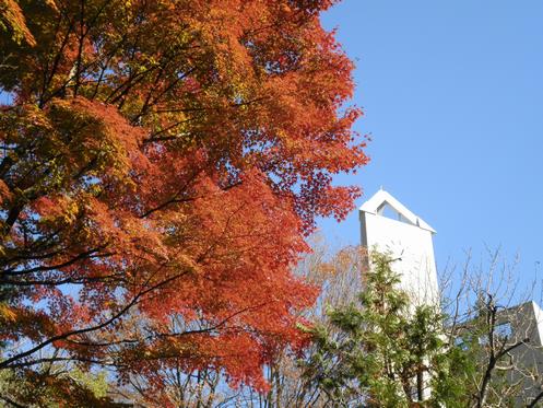 じゅんさいいけの紅葉