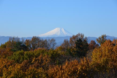 ろくどうやまこうえんてんぼうだいからのふじさん