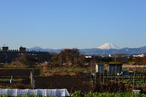 さやまいけじょうりゅうぶからのふじさん