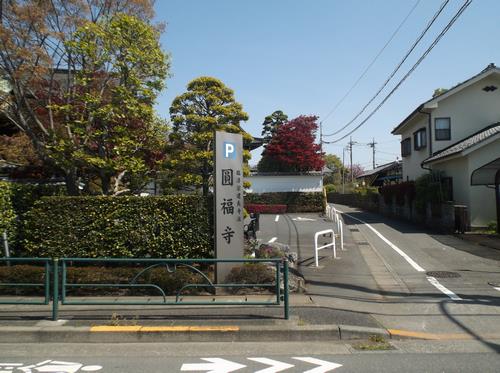 円福寺脇の道