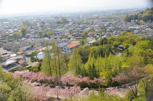 展望塔からの眺め