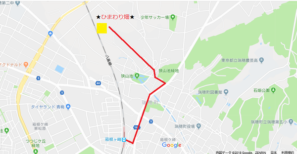 ひまわり畑地図