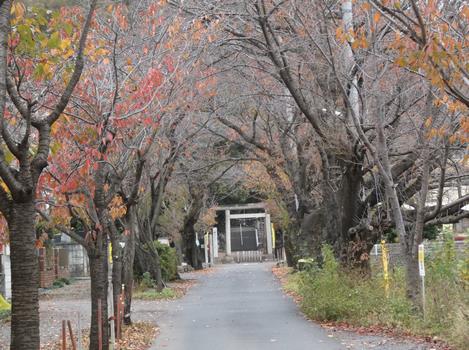 阿豆佐味天神社参道