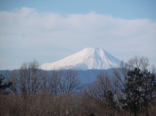 展望塔からの景色