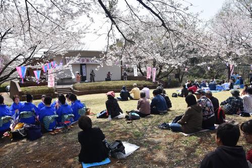 六道山公園さくらまつり