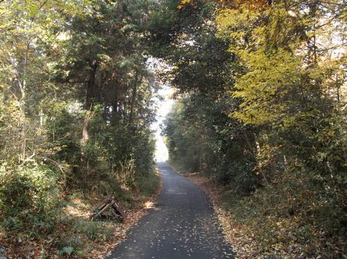 大日山遊歩道