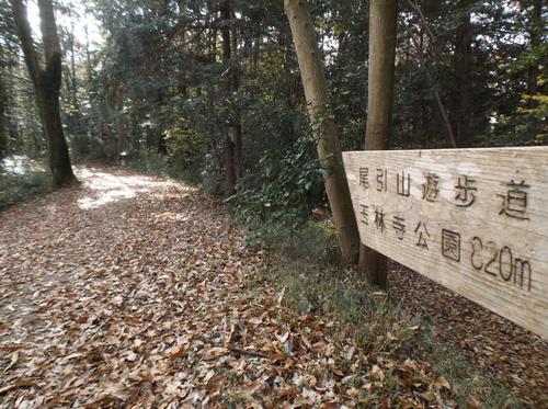 尾引山遊歩道