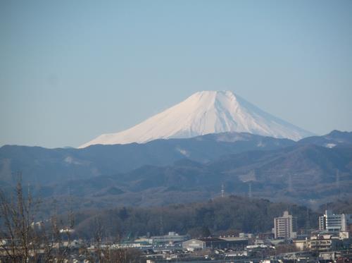 展望塔からの景色