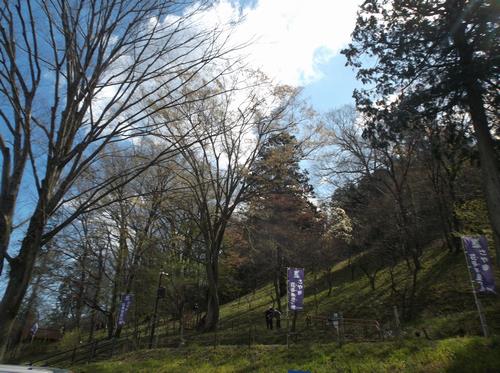 さやま花多来里の郷