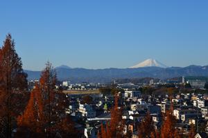 富士見百景スカイホール