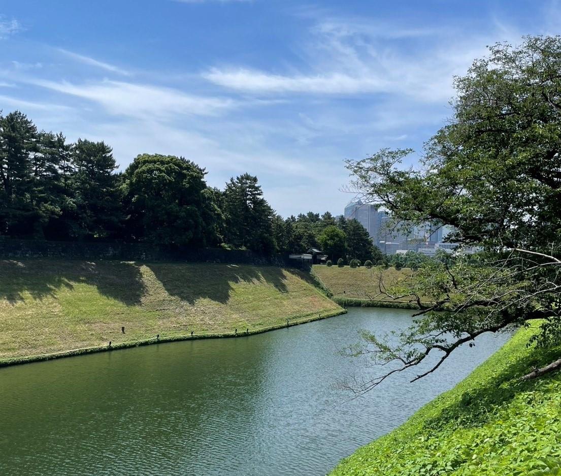 風景
