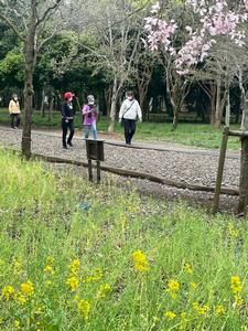 2森林健幸ウオーキング