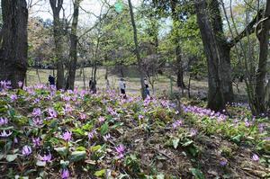 さやま花多来里の郷