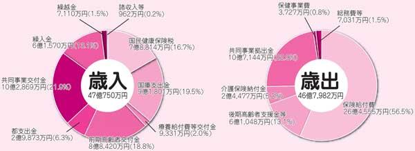 国民健康保険特別会計歳入歳出のグラフ