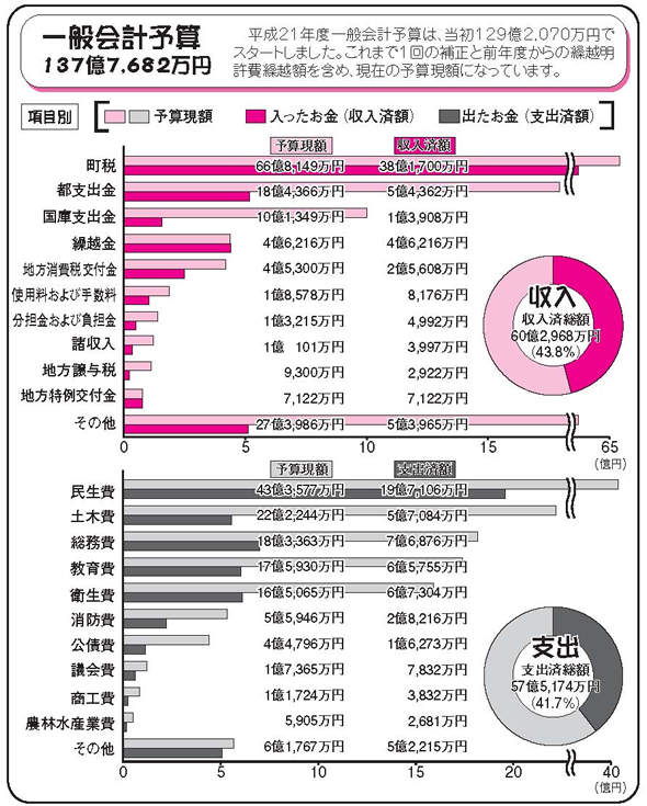 平成21年度　予算の執行状況の図