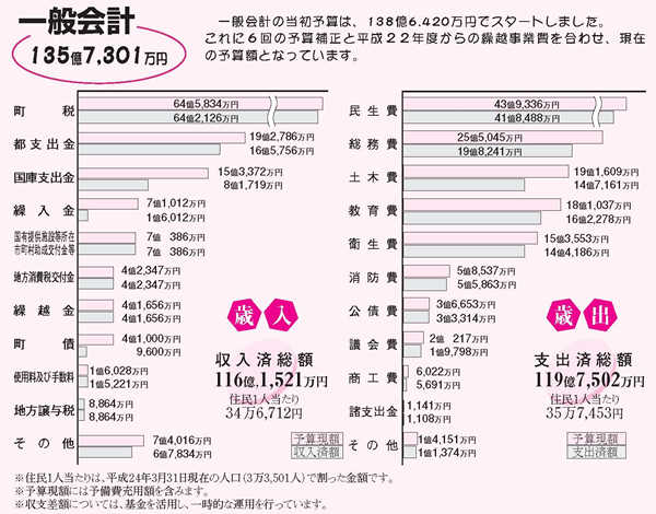 平成23年度　予算の執行状況の図