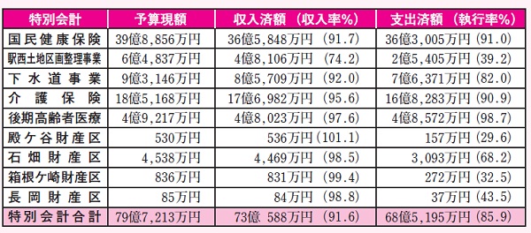 平成24年度　予算の執行状況の図（特別会計）