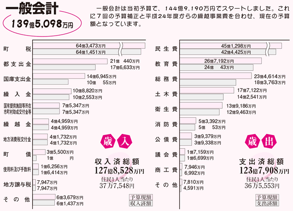 平成25年度　予算の執行状況図