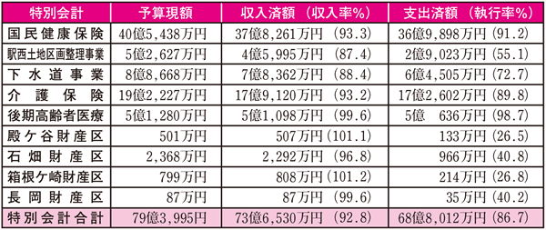 平成25年度　予算の執行状況図（特別会計）