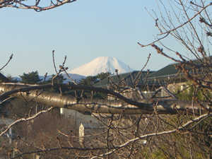 富士山の写真