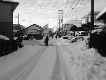 除雪前の写真