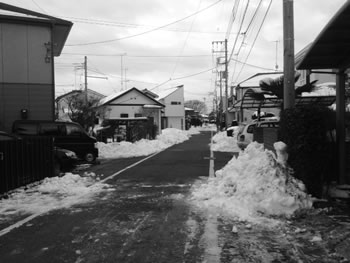 除雪後の写真