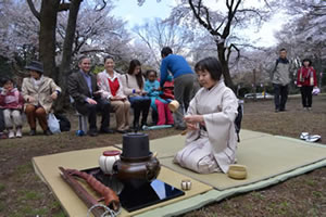 茶道のお点前の写真