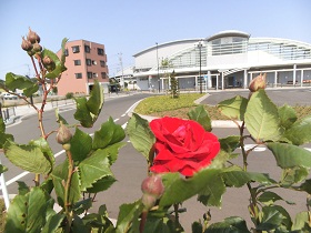 5月8日撮影箱根ケ崎駅西口広場の様子