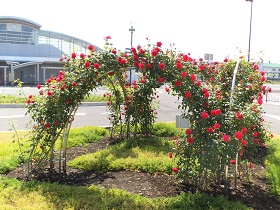 5月17日撮影箱根ケ崎駅西口広場の様子