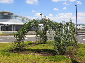 6月27日撮影箱根ヶ崎西口広場の様子