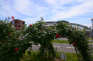 5月12日撮影箱根ケ崎駅西口広場の様子