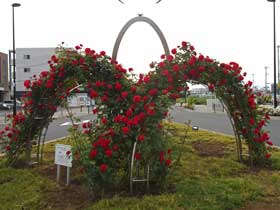 箱根ケ崎駅西口広場（5月15日撮影）