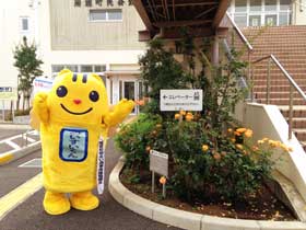 平成28年7月1日 町民会館前のアンネのバラの写真1